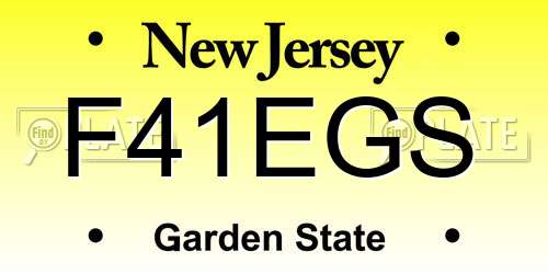 F41EGS New Jersey License Plate