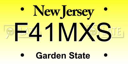 F41MXS New Jersey License Plate