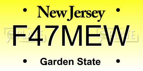 F47MEW New Jersey License Plate