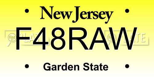 F48RAW New Jersey License Plate