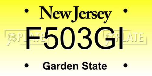 F503GI New Jersey License Plate