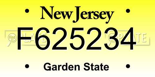 F625234 New Jersey License Plate