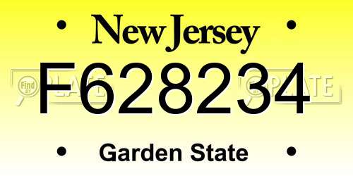 F628234 New Jersey License Plate