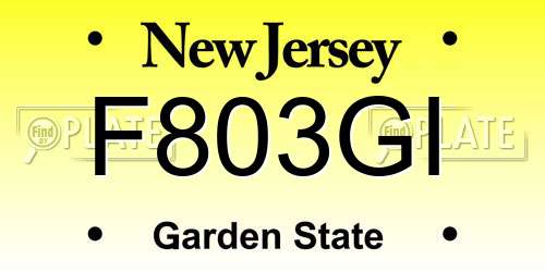 F803GI New Jersey License Plate