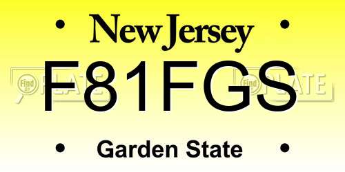 F81FGS New Jersey License Plate