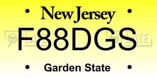 F88DGS New Jersey License Plate