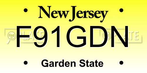 F91GDN New Jersey License Plate