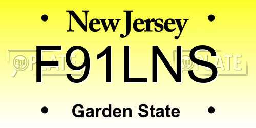 F91LNS New Jersey License Plate