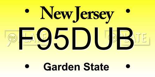 F95DUB New Jersey License Plate