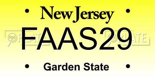 FAAS29 New Jersey License Plate