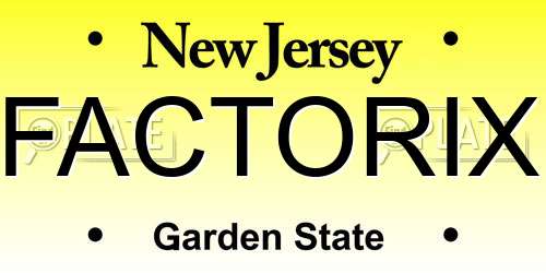 FACTORIX New Jersey License Plate