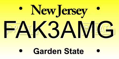 FAK3AMG New Jersey License Plate