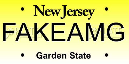 FAKEAMG New Jersey License Plate