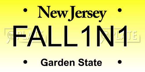 FALL1N1 New Jersey License Plate