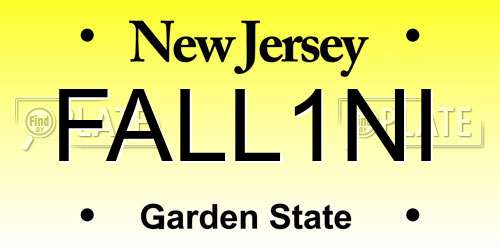 FALL1NI New Jersey License Plate