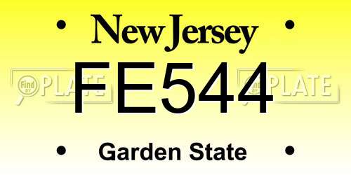 FE544 New Jersey License Plate