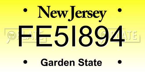FE5I894 New Jersey License Plate