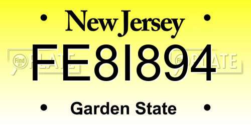 FE8I894 New Jersey License Plate