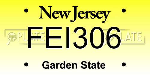 FEI306 New Jersey License Plate