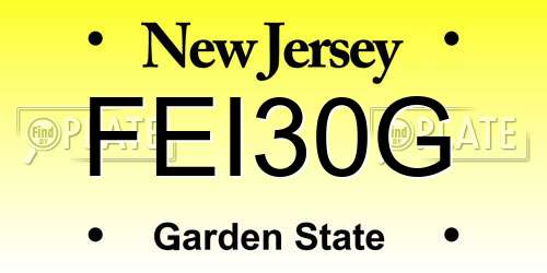 FEI30G New Jersey License Plate