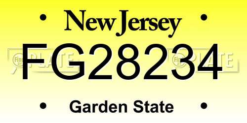 FG28234 New Jersey License Plate