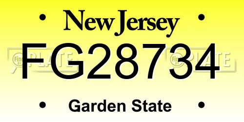 FG28734 New Jersey License Plate