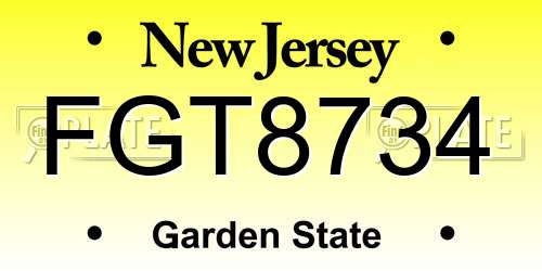 FGT8734 New Jersey License Plate
