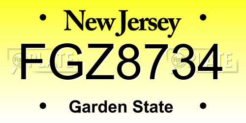 FGZ8734 New Jersey License Plate