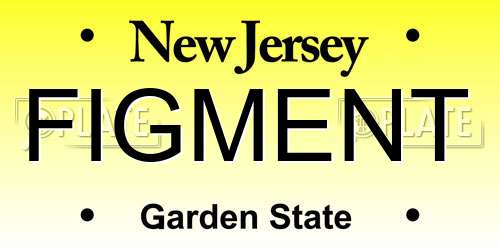 FIGMENT New Jersey License Plate