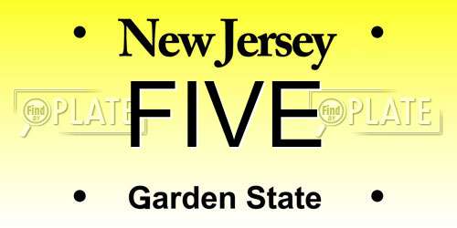 FIVE New Jersey License Plate