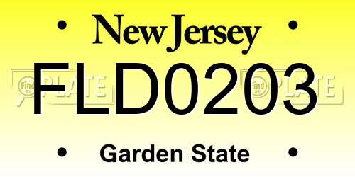 FLD0203 New Jersey License Plate