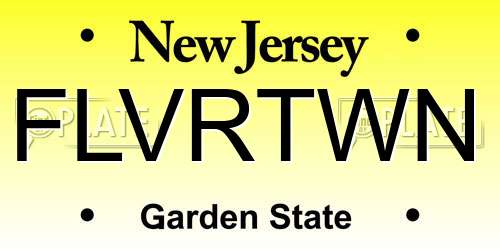 FLVRTWN New Jersey License Plate