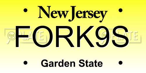 FORK9S New Jersey License Plate