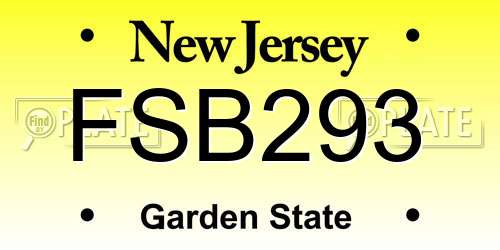 FSB293 New Jersey License Plate