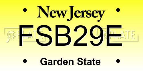 FSB29E New Jersey License Plate