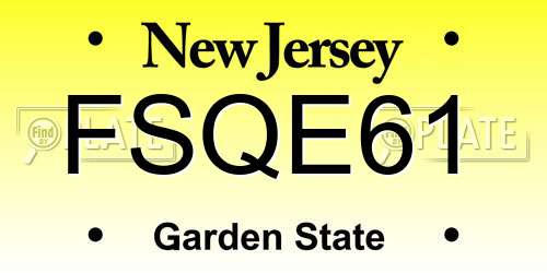 FSQE61 New Jersey License Plate