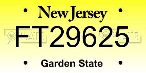 FT29625 New Jersey License Plate