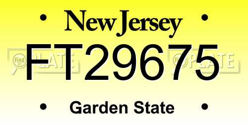 FT29675 New Jersey License Plate