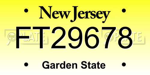 FT29678 New Jersey License Plate