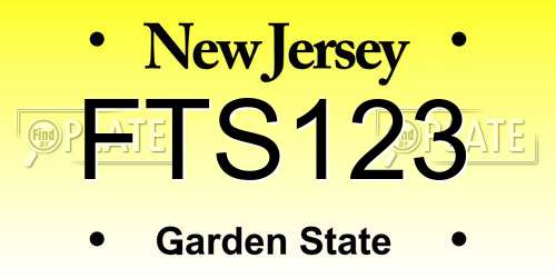 FTS123 New Jersey License Plate