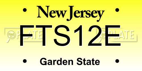 FTS12E New Jersey License Plate