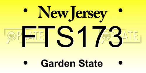 FTS173 New Jersey License Plate
