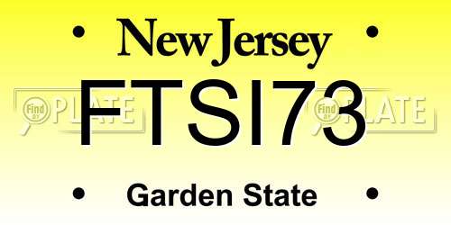 FTSI73 New Jersey License Plate