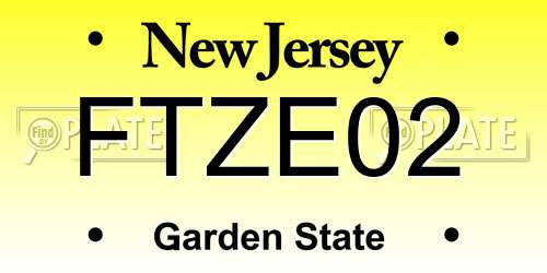 FTZE02 New Jersey License Plate