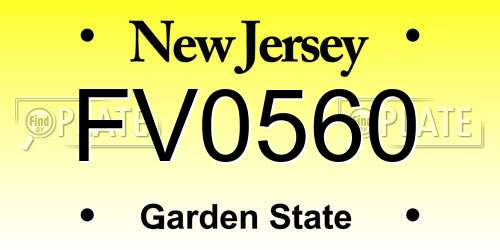 FV0560 New Jersey License Plate