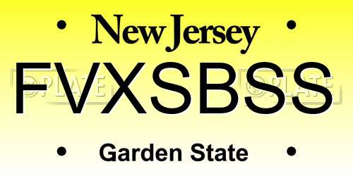 FVXSBSS New Jersey License Plate