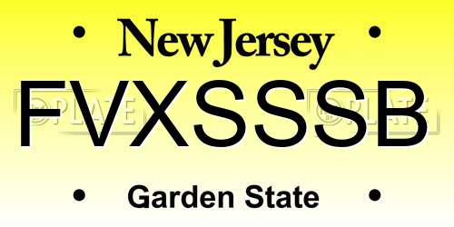 FVXSSSB New Jersey License Plate