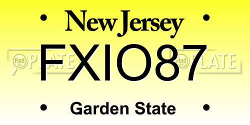 FXIO87 New Jersey License Plate