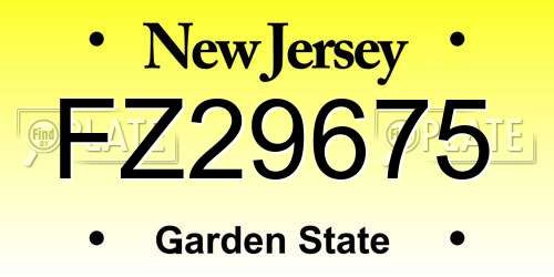 FZ29675 New Jersey License Plate
