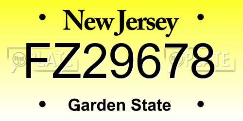 FZ29678 New Jersey License Plate